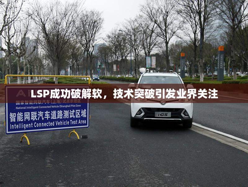LSP成功破解软，技术突破引发业界关注