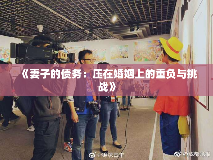 《妻子的债务：压在婚姻上的重负与挑战》