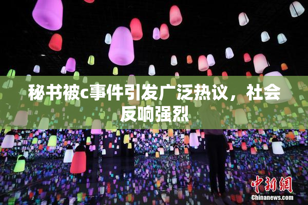 秘书被c事件引发广泛热议，社会反响强烈