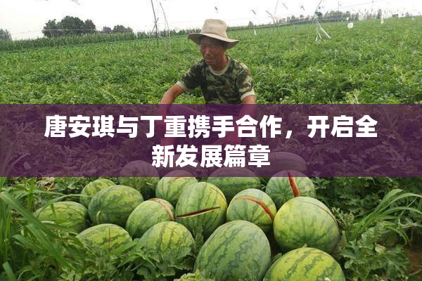 唐安琪与丁重携手合作，开启全新发展篇章