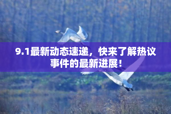 9.1最新动态速递，快来了解热议事件的最新进展！