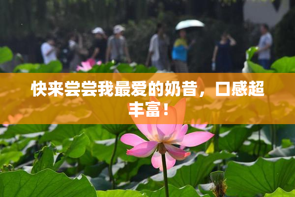快来尝尝我最爱的奶昔，口感超丰富！