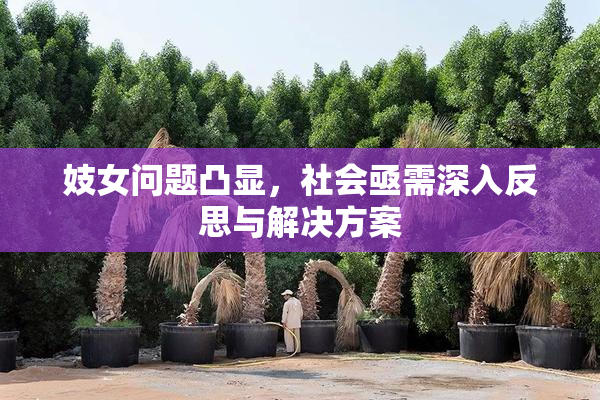 妓女问题凸显，社会亟需深入反思与解决方案