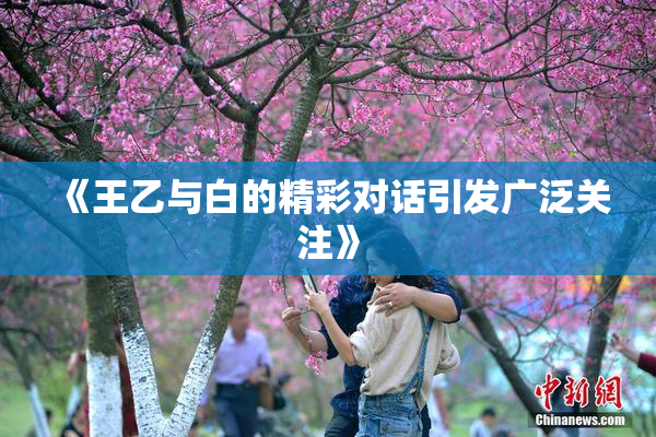 《王乙与白的精彩对话引发广泛关注》