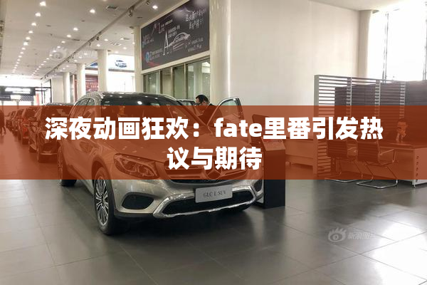 深夜动画狂欢：fate里番引发热议与期待