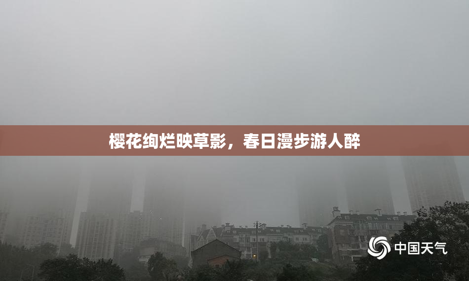 樱花绚烂映草影，春日漫步游人醉