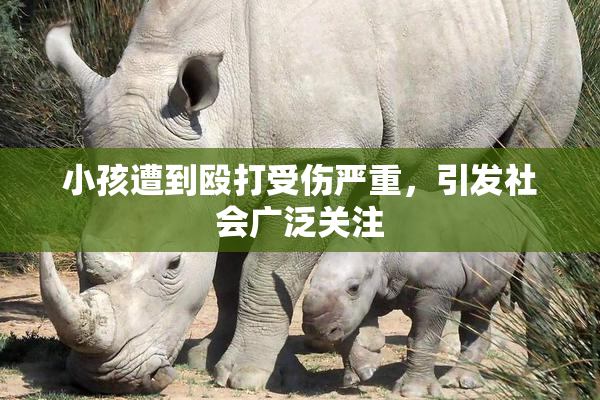 小孩遭到殴打受伤严重，引发社会广泛关注