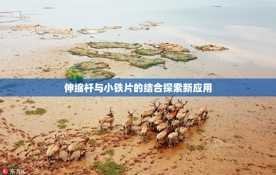 伸缩杆与小铁片的结合探索新应用