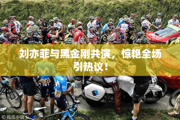 刘亦菲与黑金刚共演，惊艳全场引热议！