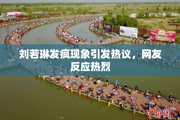 刘若琳发疯现象引发热议，网友反应热烈