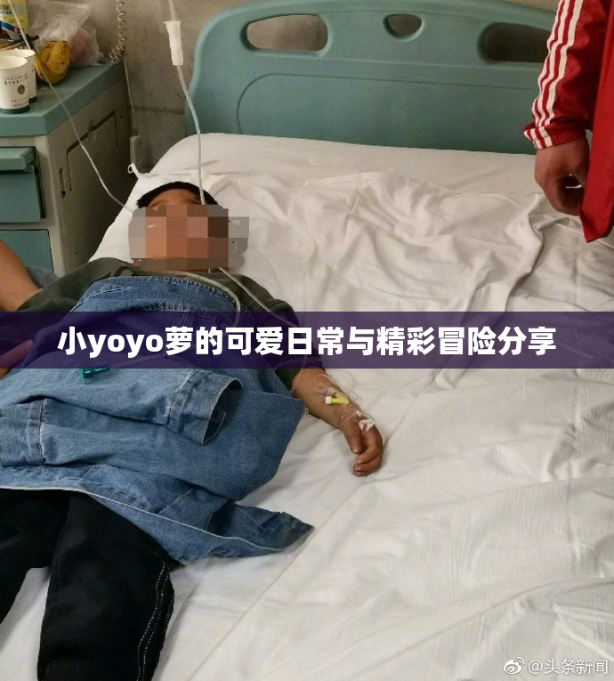 小yoyo萝的可爱日常与精彩冒险分享