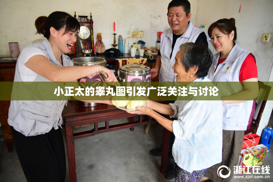 小正太的睾丸图引发广泛关注与讨论