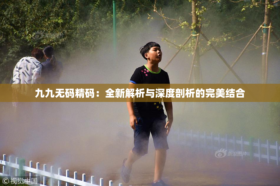 九九无码精码：全新解析与深度剖析的完美结合