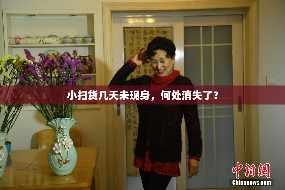 小扫货几天未现身，何处消失了？