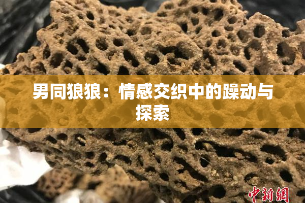 男同狼狼：情感交织中的躁动与探索