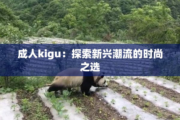 成人kigu：探索新兴潮流的时尚之选