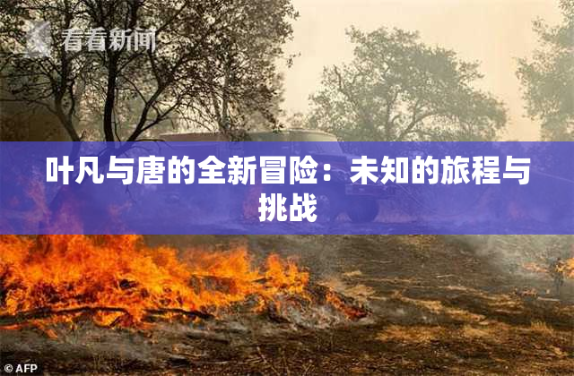 叶凡与唐的全新冒险：未知的旅程与挑战
