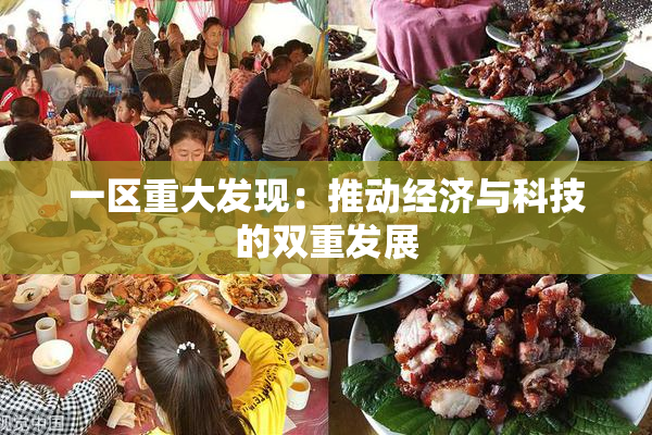 一区重大发现：推动经济与科技的双重发展