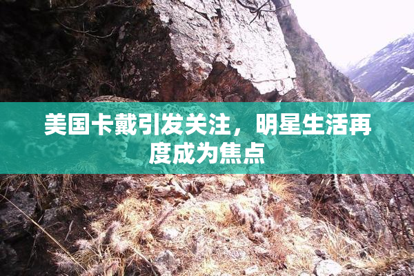 美国卡戴引发关注，明星生活再度成为焦点