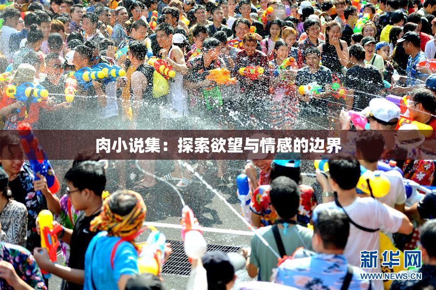 肉小说集：探索欲望与情感的边界