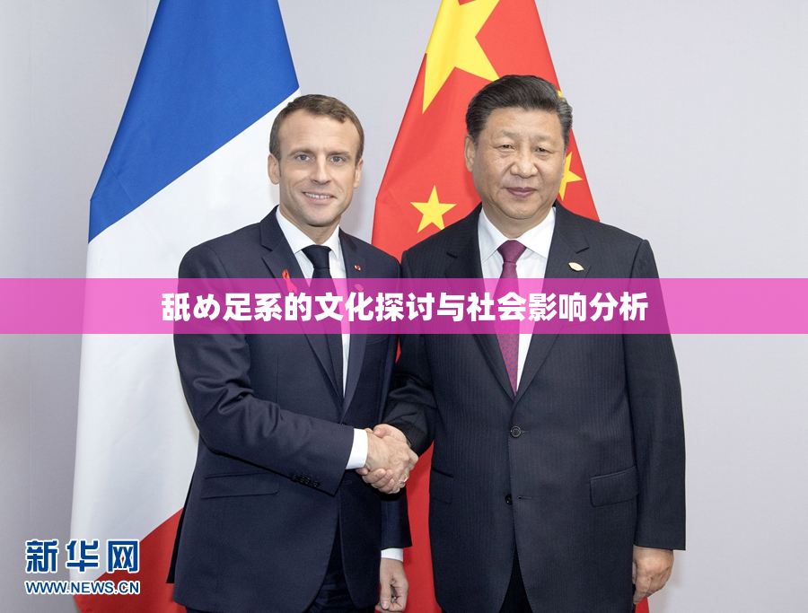舐め足系的文化探讨与社会影响分析