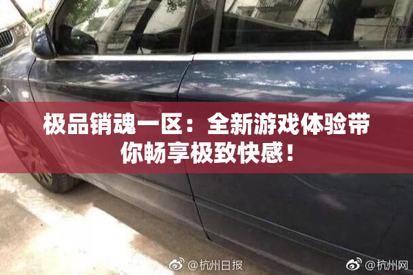 极品销魂一区：全新游戏体验带你畅享极致快感！