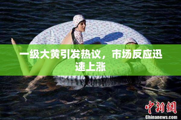 一级大黄引发热议，市场反应迅速上涨