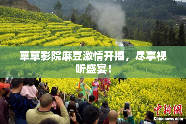 草草影院麻豆激情开播，尽享视听盛宴！
