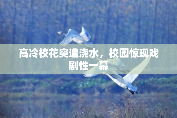 高冷校花突遭浇水，校园惊现戏剧性一幕