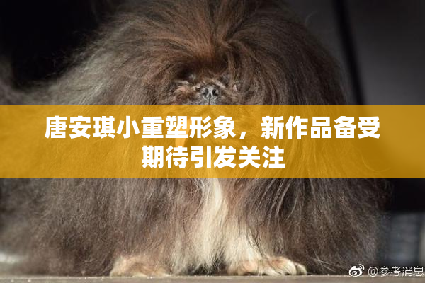 唐安琪小重塑形象，新作品备受期待引发关注