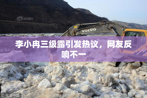 李小冉三级露引发热议，网友反响不一
