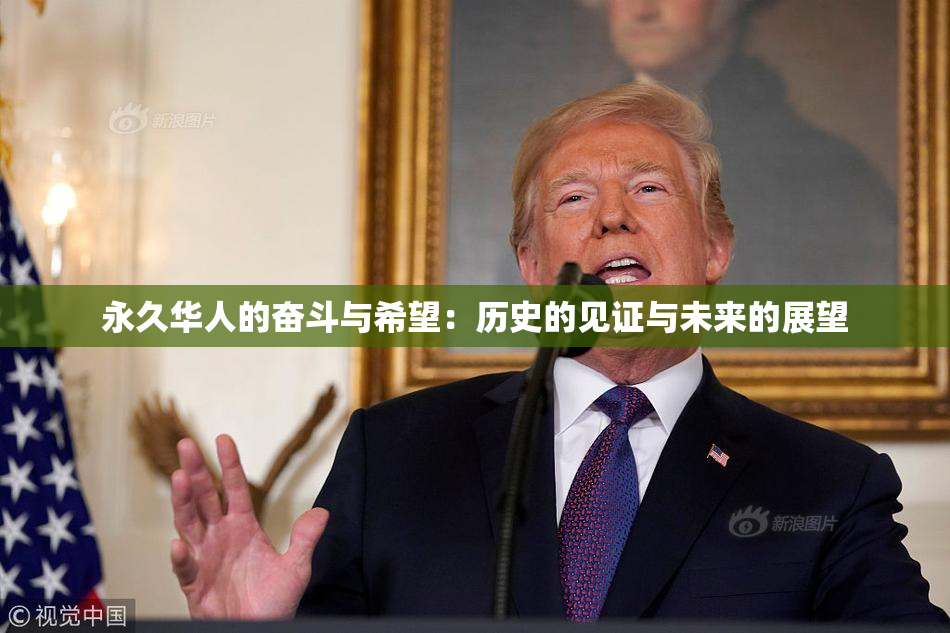 永久华人的奋斗与希望：历史的见证与未来的展望