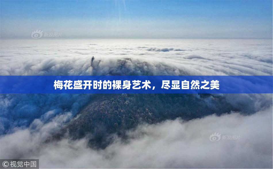 梅花盛开时的裸身艺术，尽显自然之美