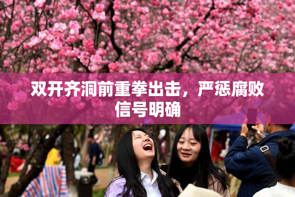双开齐洞前重拳出击，严惩腐败信号明确