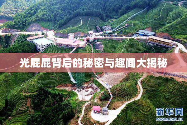 光屁屁背后的秘密与趣闻大揭秘