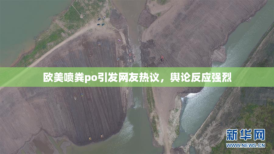 欧美喷粪po引发网友热议，舆论反应强烈