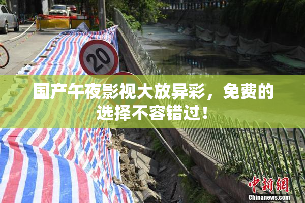 国产午夜影视大放异彩，免费的选择不容错过！