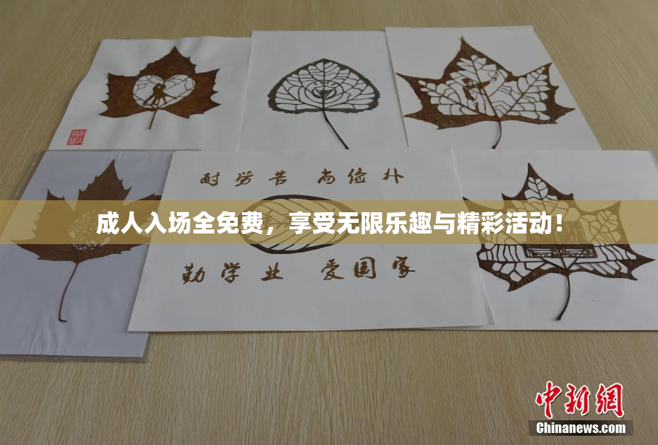 成人入场全免费，享受无限乐趣与精彩活动！