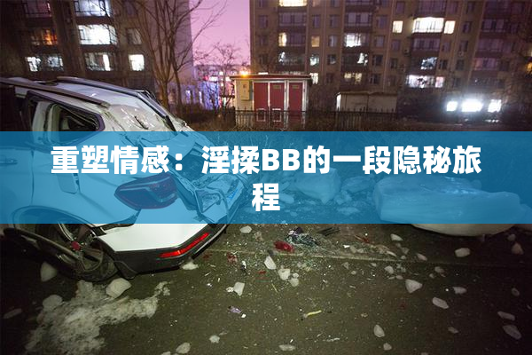 重塑情感：淫揉BB的一段隐秘旅程