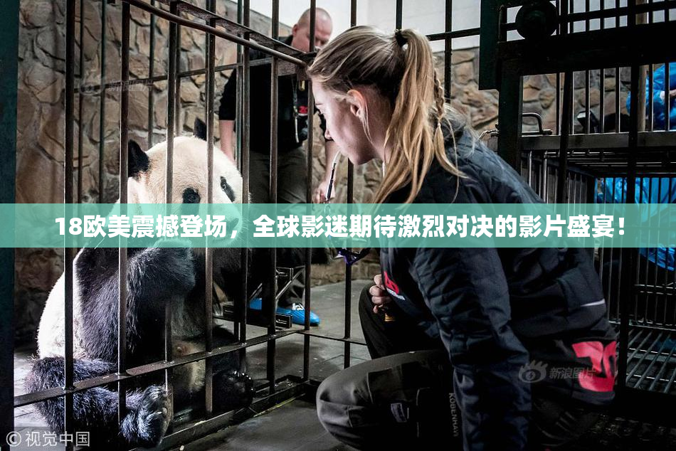 18欧美震撼登场，全球影迷期待激烈对决的影片盛宴！