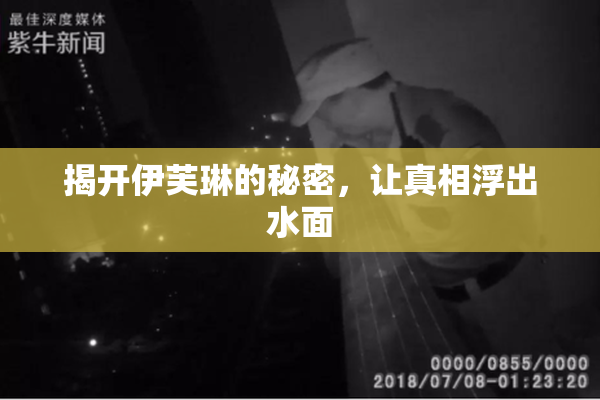 揭开伊芙琳的秘密，让真相浮出水面