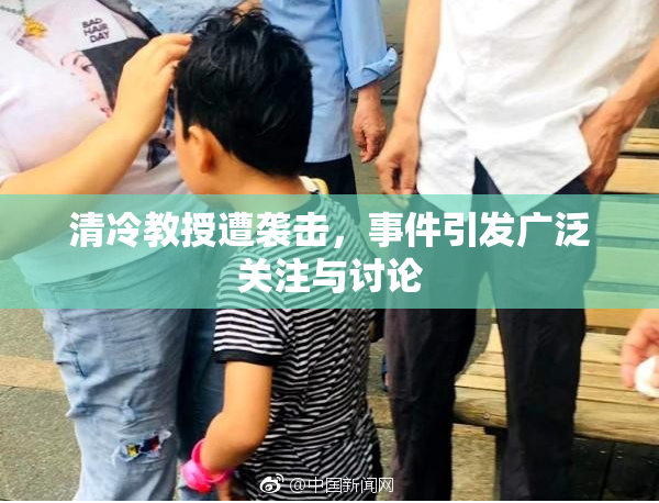 清冷教授遭袭击，事件引发广泛关注与讨论