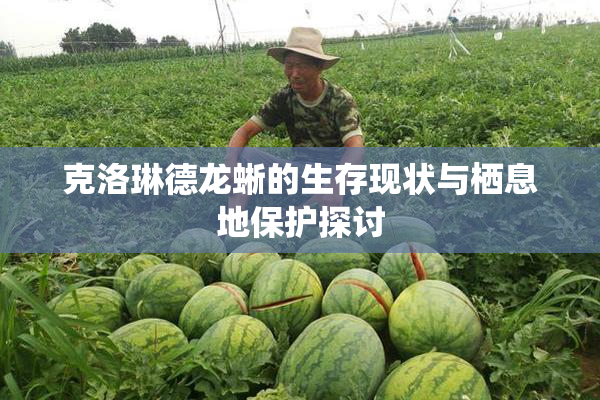 克洛琳德龙蜥的生存现状与栖息地保护探讨