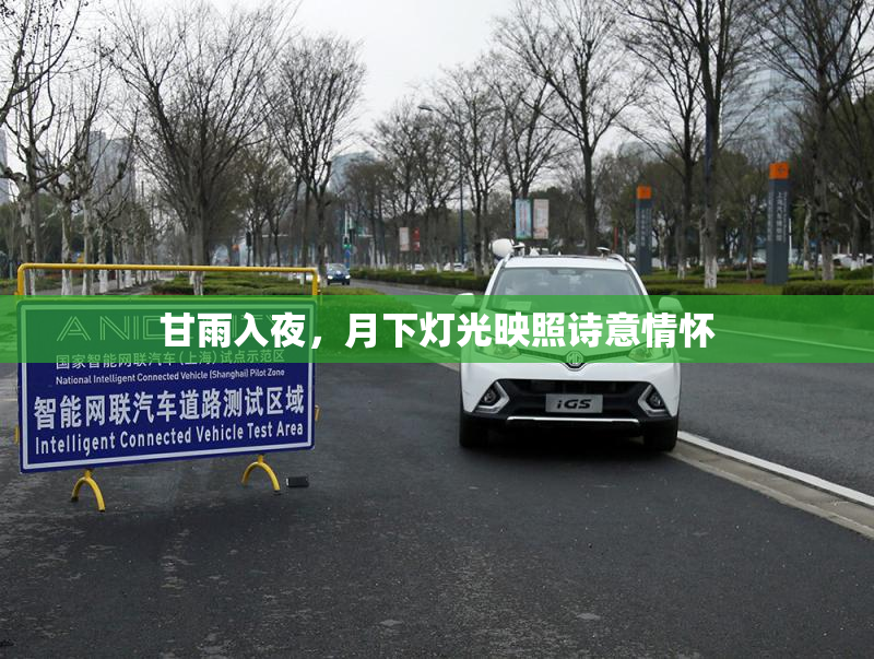 甘雨入夜，月下灯光映照诗意情怀