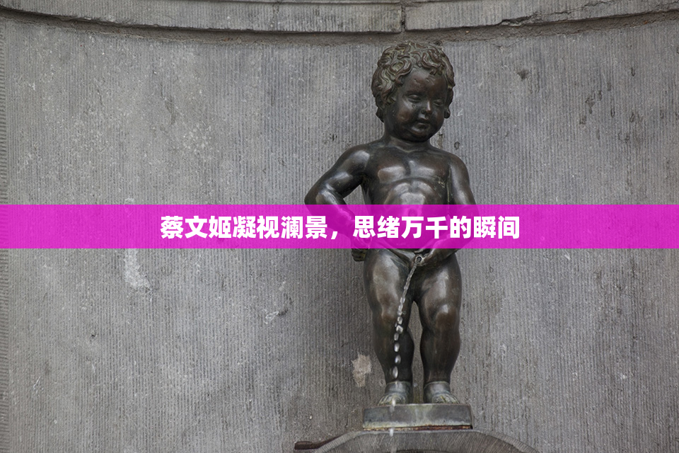 蔡文姬凝视澜景，思绪万千的瞬间