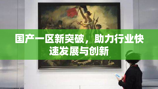 国产一区新突破，助力行业快速发展与创新