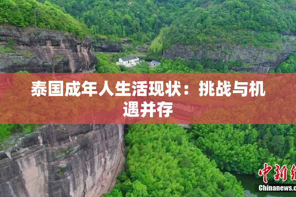 泰国成年人生活现状：挑战与机遇并存