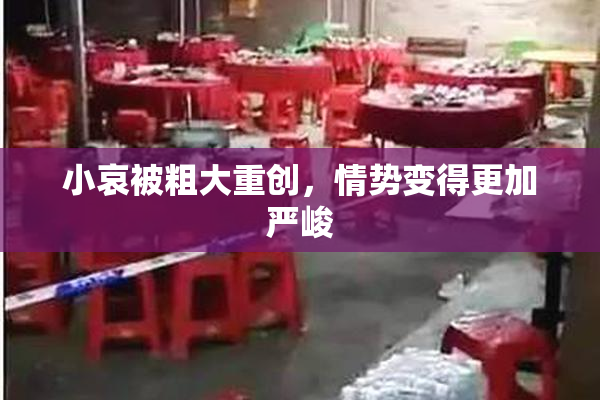 小哀被粗大重创，情势变得更加严峻