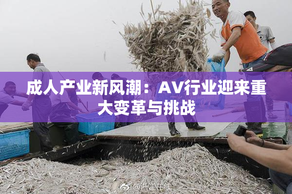 成人产业新风潮：AV行业迎来重大变革与挑战