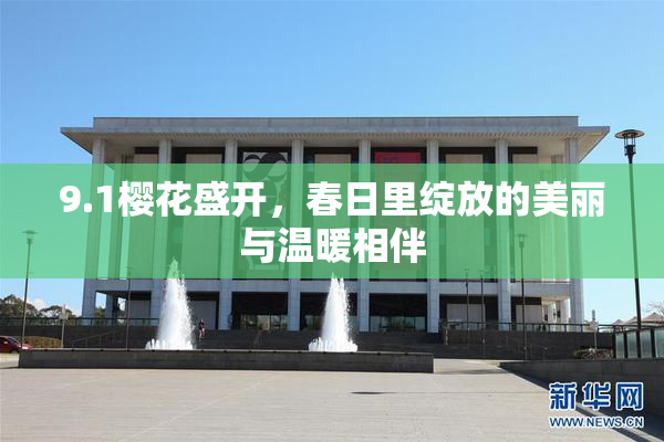9.1樱花盛开，春日里绽放的美丽与温暖相伴